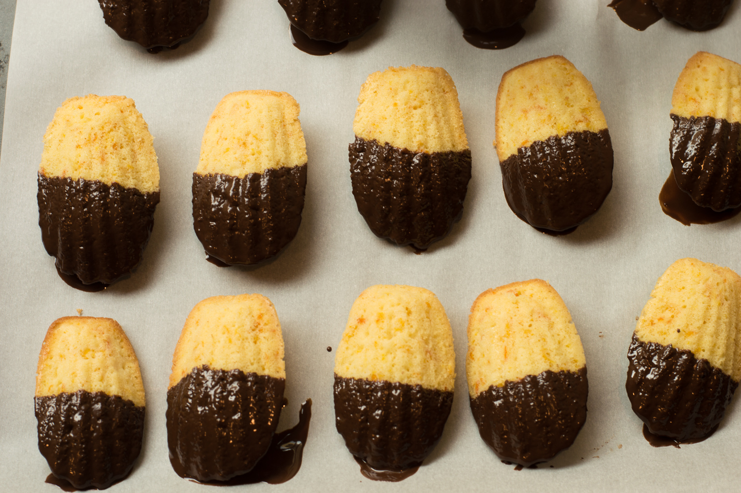 Chocolate Dipped Orange Madeleines